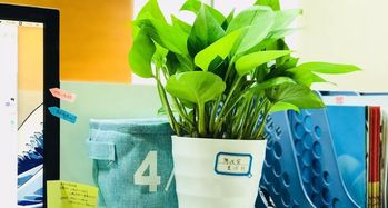 艾鑫集团萌贝树提醒 上班族如何有效预防电子产品辐射